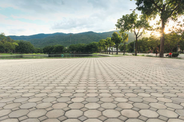 Best Custom Driveway Pavers  in Dallas, TX